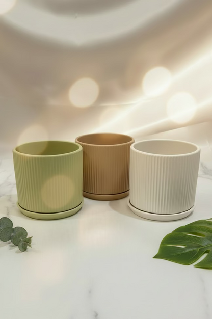 Planters Combo- Pack of 3